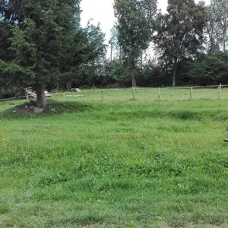 Ztracenka *